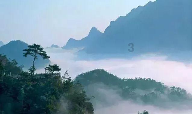 面粉和生粉有什么区别-绝对靠谱的有问必答平台